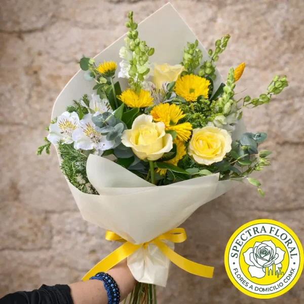 Destello de Alegría